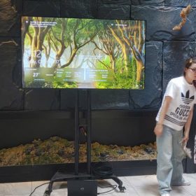 Thuê tivi 75 inch cho sự kiện tại Hà Nội – màn hình lớn 4K sắc nét do H-TECH cung cấp